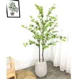 CÂY THẠCH NAM TRANG TRÍ ĐẸP, HIỆN ĐẠI LAN DECOR (180cm) - CC246-1