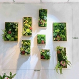BỘ TRANH RÊU SEN ĐÁ TREO TƯỜNG DECOR ĐỘC ĐÁO, SANG TRỌNG