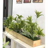 Bồn cây Thủy Trúc trang trí tiểu cảnh LanDecor (120x18cm)- BC072