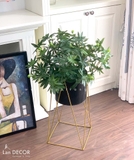 Kệ cây xẻ thùy trang trí nhà đẹp LanDecor (78cm) - CC463