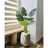 Cây lá xẻ cây monstera trang trí không gian hiện đại (120cm) - LC3024