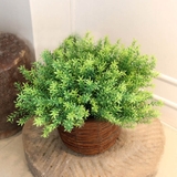 Cành Lá Giả Trang Trí, Cành Lá Rong Trang Trí Tiểu Cảnh (30cm) - HC1159