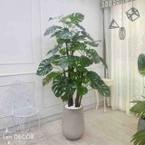 CHẬU CÂY LÁ RÙA TRANG TRÍ NỘI THẤT LAN DECOR (195cm) - LC2691-ghep