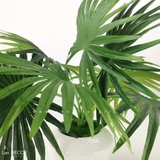 Cành Lá Giả Trang Trí, Cành Cọ Giả Trang trí Tự Nhiên (40cm) - HC414