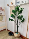 Cây lá tiền trang trí không gian hiện đại xanh mát Lan Decor (135cm) - LC5581