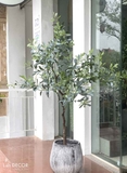 CHẬU CÂY CÀ PHÊ PHONG CÁCH BẮC ÂU TRANG TRÍ (170cm) - CC417