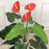Cây hoa hồng môn cây giả trang trí Lan Decor 120cm - LC2373