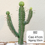 CÂY XƯƠNG RỒNG NHÂN TẠO LAN DECOR  - HC1147-1