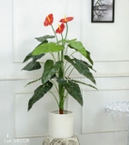 Cây hoa hồng môn cây giả trang trí Lan Decor 120cm - LC2373
