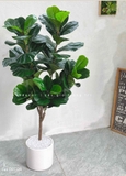 Cây Giả Decor- Cây Bàng Thiết Kế Trang Trí Không Gian (145cm)- CC1045
