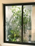 TRANG TRÍ KHÔNG GIAN XANH VỚI BỒN RÊU CÂY LINH SƠN- RC040