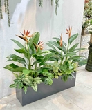 Bồn Hoa Thiên Điểu Thiết Kế Không Gian (35X120X105cm)- CC993