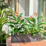 Bồn Hoa Thiên Điểu Thiết Kế Không Gian (35X120X105cm)- CC993