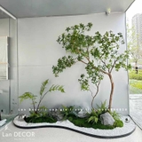 TRANG TRÍ KHÔNG GIAN XANH VỚI BỒN RÊU CÂY LINH SƠN- RC040