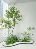 BỒN RÊU CÂY LINH SƠN TRANG TRÍ BAN CÔNG HIỆN ĐẠI - RC038