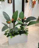 Bồn chuối thiên điểu trang trí nhà đẹp Landecor - CC431