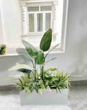 Bồn Cây Tiểu Cảnh- Bồn Cây Thiết Kế Trang Trí Nội Thất Xanh Tươi (160x30x160cm)- CC952