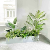 Bồn Cây Tiểu Cảnh- Bồn Cây Thiết Kế Trang Trí Nội Thất Xanh Tươi (160x30x160cm)- CC952