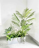 Bồn Cây Tiểu Cảnh- Bồn Cây Thiết Kế Trang Trí Nội Thất Xanh Tươi (160x30x160cm)- CC952