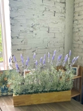 Hoa Oải Hương Giả- Bồn Hoa Oải Hương Decor Quán Cafe Vintage (80X25X55CM)- BC183