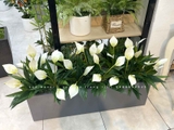Bồn Hoa Lan Ý Decor Không Gian (100x30x25cm)- CC1031-1