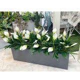 Bồn Hoa Lan Ý Decor Không Gian (100x30x25cm)- CC1031-1
