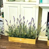 Bồn Hoa Oải Hương Decor- Tiểu Cảnh Hoa Oải Hương Thiết Kế Không Gian (75X30X55CM)- BC185
