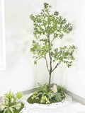 BỒN RÊU CÂY LINH SƠN TRANG TRÍ KHÔNG GIAN ẤN TƯỢNG (220X105X220cm)- RC049