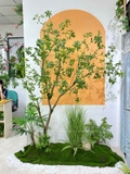 Tiểu Cảnh Cây Giả- Bồn Cây Linh Sơn Thiết Kế Tiểu Cảnh Khô, Decor Không Gian - RC070