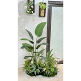Bồn Cây Tiểu Cảnh- Bồn Rêu Chuối Thiết Kế Không Gian (100x55x160cm)- RC056