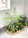 TIỂU CẢNH TRANG TRÍ- TỔNG HỢP CÁC MẪU BỒN TIỂU CẢNH, BỒN RÊU CÂY THIẾT KẾ ĐỘC ĐÁO