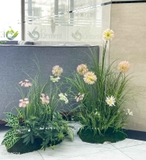 Bồn Hoa Thiết Kế - Bồn Rêu Hoa Hồi Hương Decor Tiểu Cảnh (70X50X75CM)- RC086