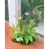 Bồn Hoa Thiết Kế - Bồn Rêu Hoa Hồi Hương Giả Decor Tự Nhiên (80x50x80cm)- RC088