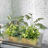Bồn Cây Giả Tiểu Cảnh- Bồn Cây Trầu Bà Thanh Xuân Trang Trí Tạo Không Gian Xanh (100X50X65cm)- BC163-1