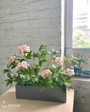 Bồn hoa tú cầu decor nhà vintage- CC908