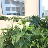 BỤC CÂY GIẢ - BC009