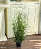 Bụi Cây Tiểu Cảnh- Bụi Cỏ Hành Giả Trang Trí Cửa Hiệu Tạo Điểm Nhấn Xanh (cao 95cm. tán 55cm)- CC1103