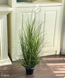 Bụi Cây Tiểu Cảnh- Bụi Cỏ Hành Giả Trang Trí Cửa Hiệu Tạo Điểm Nhấn Xanh (cao 95cm. tán 55cm)- CC1103