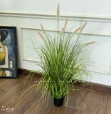 Cỏ Lau Giả - Bụi Cỏ Lau Hồng Decor Tiểu Cảnh Lau Giả, Thiết Kế Hiện Đại (cao 110cm, tán 55cm)- CC1100