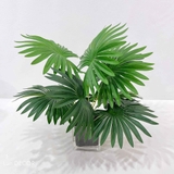 Cành Lá Giả Trang Trí, Cành Cọ Giả Trang trí Tự Nhiên (40cm) - HC414