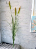 Cỏ Lau Giả- Cành Cỏ Lau Giả Thiết Kế Lan Decor, Trang Trí Kệ Cây, Tiểu Cảnh Lau Giả Quán Cafe Độc Đáo - CC1087