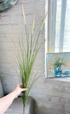 Cỏ Lau Giả- Cành Cỏ Lau Giả Không Lông Thiết Kệ Ụ Rêu Tiểu Cảnh, Decor Kệ Cây- CC1088