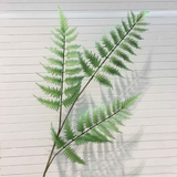 Cành Lá Giả Decor- Cành Dương Xỉ Thiết Kế Tiểu Cảnh Dương Xỉ Culi Độc Đáo (3 nhánh, 80cm)- HC1222