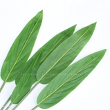 Cành Lá Giả Trang Trí, Cành Lá Chuối Mini Decor - HC987