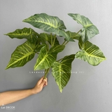 Cành Lá Giả Trang Trí- Cành Lá Môn Giả Mô Phỏng Tự Nhiên, Trang Trí Độc Đáo (55cm, 10 lá)- HC1317