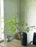 Cây Giả Decor- Cành Thạch Nam Giả Decor Không Gian Hiện Đại, Độc Đáo (115cm)- CC1075