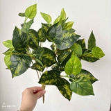 Cành Lá Giả Decor- Cành Vạn Niên Thanh Loang Trang Trí Tiểu Cảnh (40cm)- HC1095