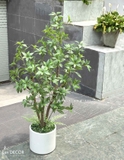 Cây Giả Trang Trí- Cây Asebi Thiết Kế Cửa Hiệu Xanh Mát (130cm)- CC1056