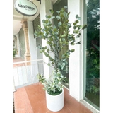 Cây Bạch Đàn Giả- Chậu Cây Bạch Đàn Bắc Âu Trang Trí Đẹp Mắt (185cm)- CC1139