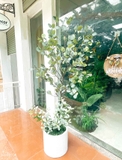 Cây Bạch Đàn Giả- Chậu Cây Bạch Đàn Bắc Âu Trang Trí Đẹp Mắt (185cm)- CC1139